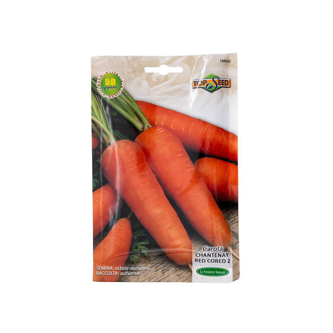 CHANTENAY RED CORED 