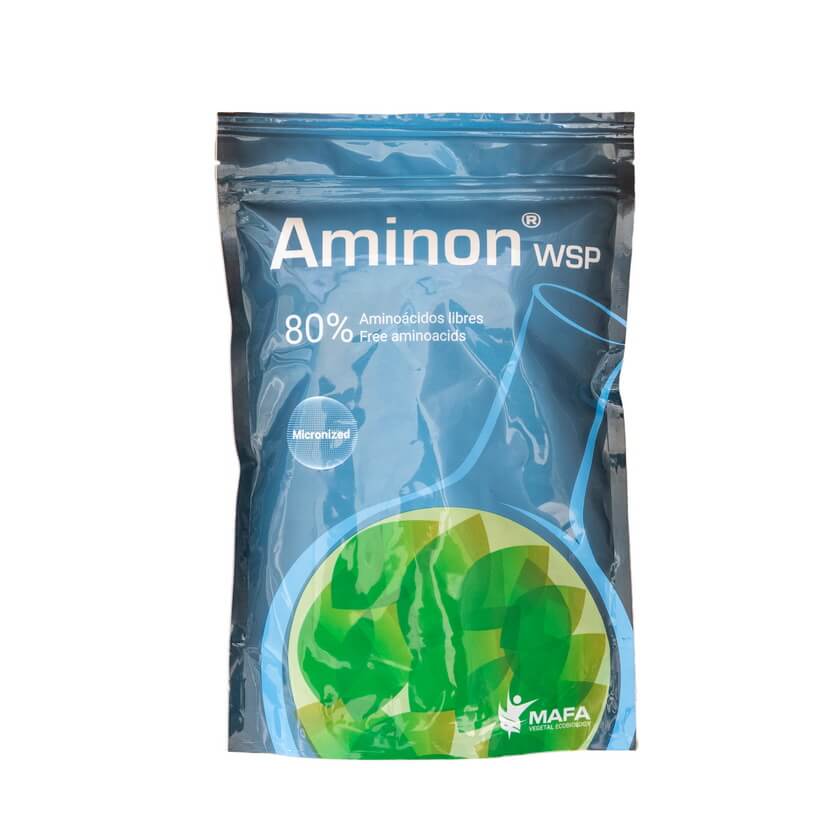AMINON WSP