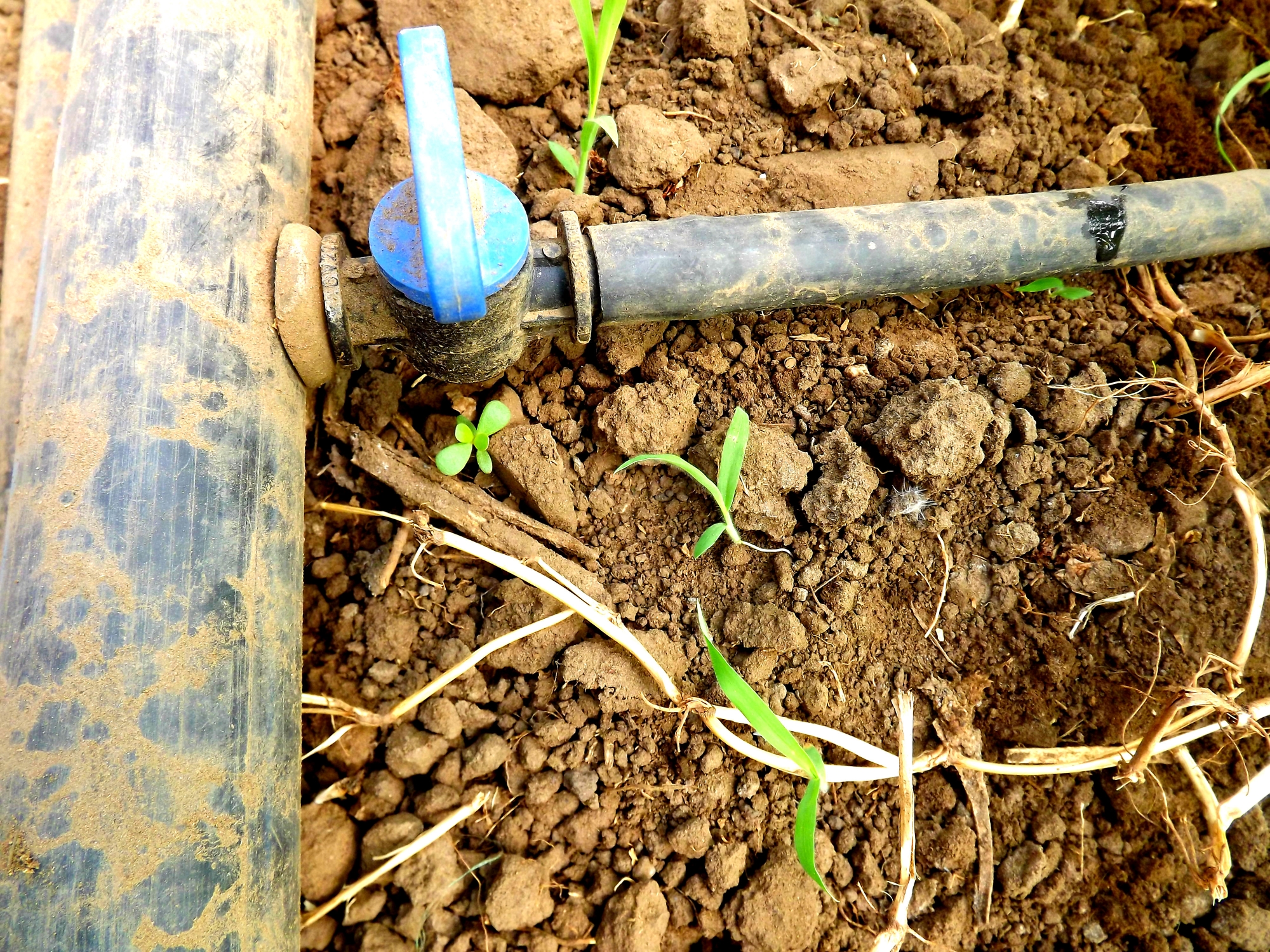 TUB DE IRIGARE PRIN PICURARE DG 40